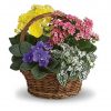 Order your Mother’s Day Flowers Early!